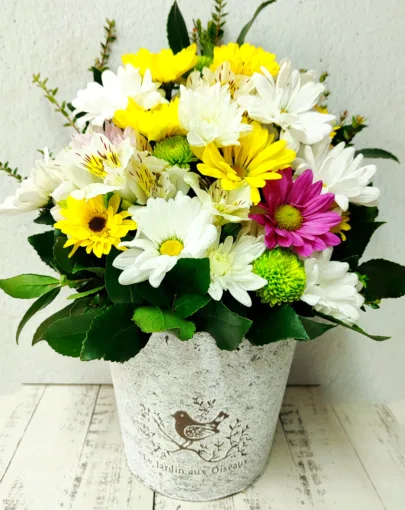 Balde Pajarito 💛 Especial Flores Amarillas 💛