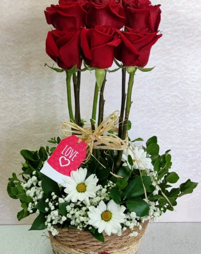 Cesta Premium Mamá 9 rosas 🌹