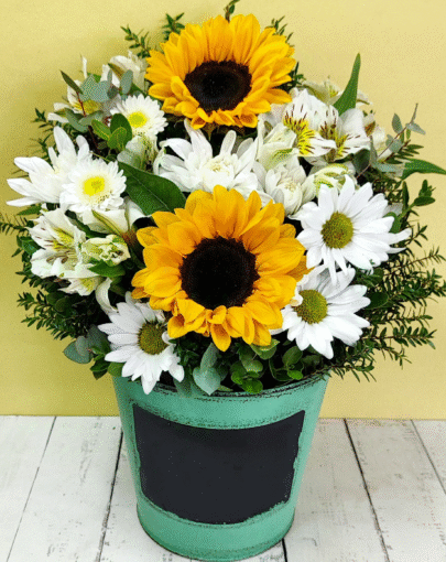 Balde Mix Girasoles Pizarra 🌻