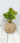 13_20250724_124859_0012