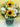 IMG_20251012_130453