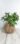 IMG-20260525-WA0020