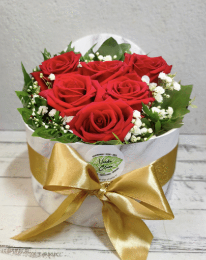 ❤️Box visor Rosas❤️