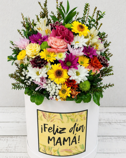 Box Silvestre Feliz día Mamá 🌸
