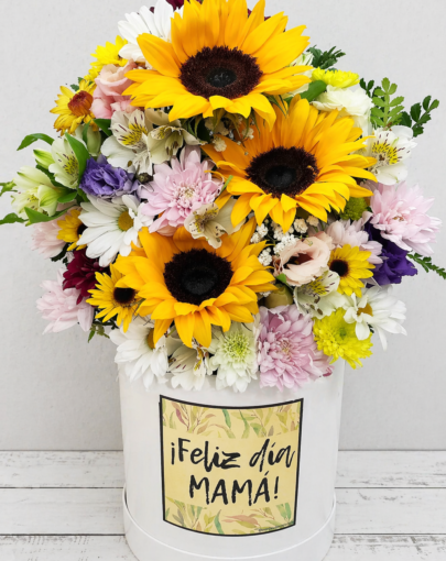 Box Girasoles Feliz día Mamá 🌻