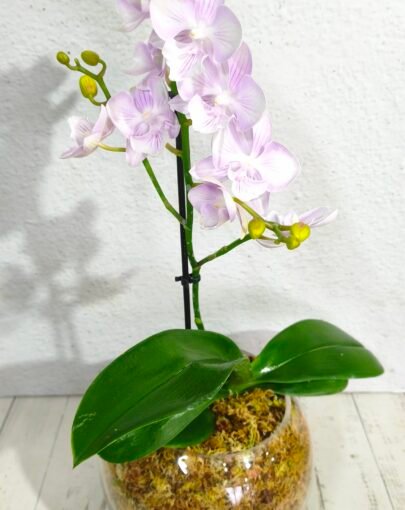 Orquídea Rosada Claro M
