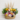 fe2c2edb-23a0-4e6d-a28b-b466ba234ec3