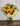 3d081d17-0702-4e89-9842-ccbff4c6a8c5