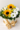 50537bc8-84e1-4d18-a495-f173c69197a7