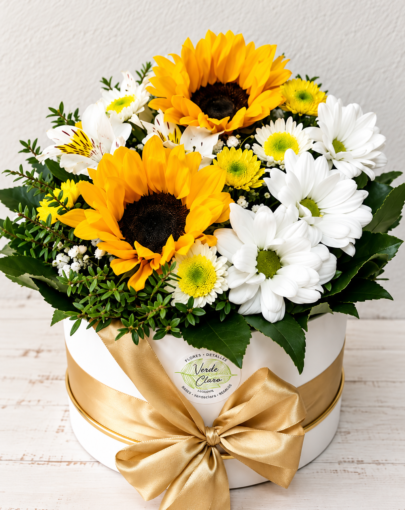 Box visor Girasoles Flores Amarillas