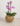 8789dbaf-f183-47a6-a802-96ef65c05cf5